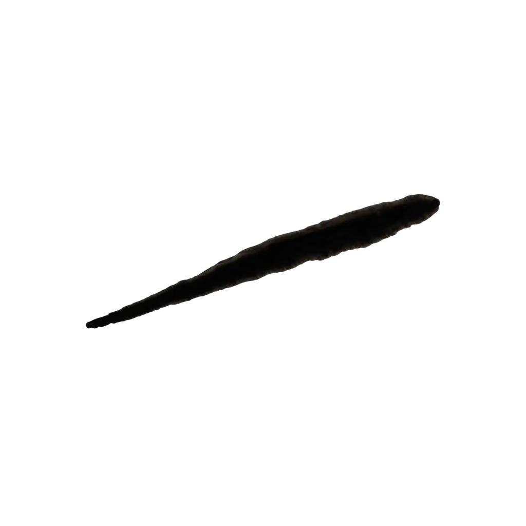 Jet Black 10 — Neutrogena Precision Liquid Eyeliner — 0.013 Fl. Oz