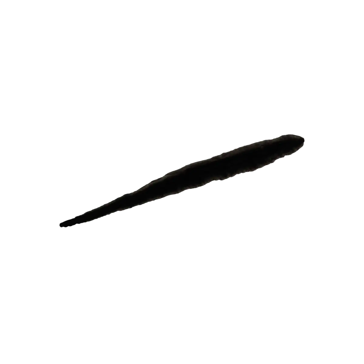 Jet Black 10 — Neutrogena Precision Liquid Eyeliner — 0.013 Fl. Oz